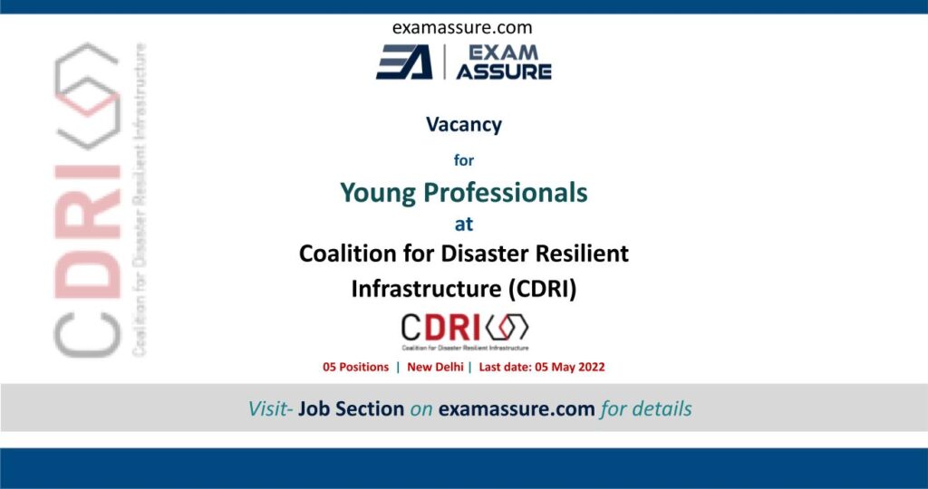 Young Professionals for CDRI Young Professionals Programme, New Delhi